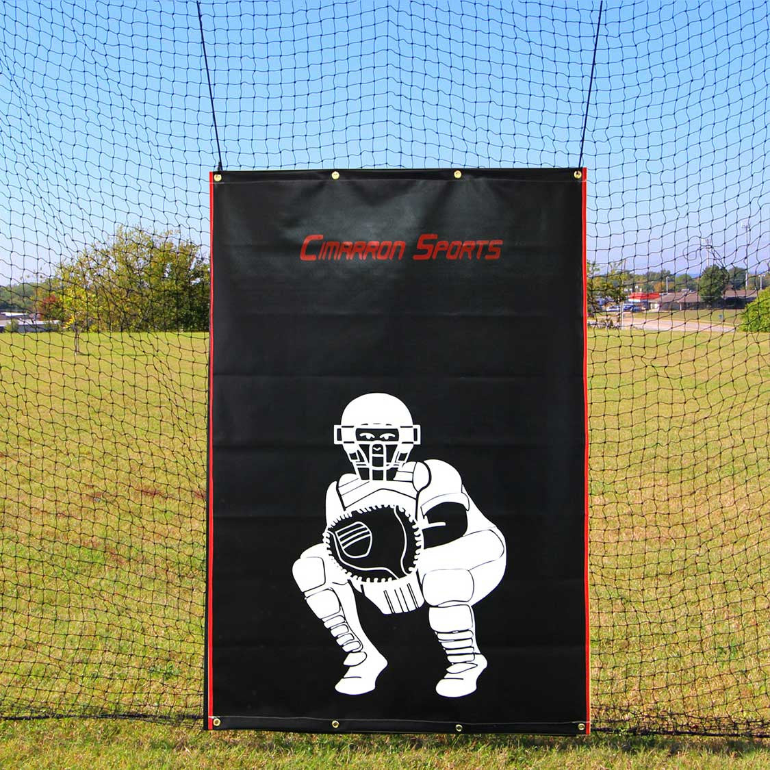 Batting Cage Backstop 4x6 Heavy Duty Vinyl wCatcher