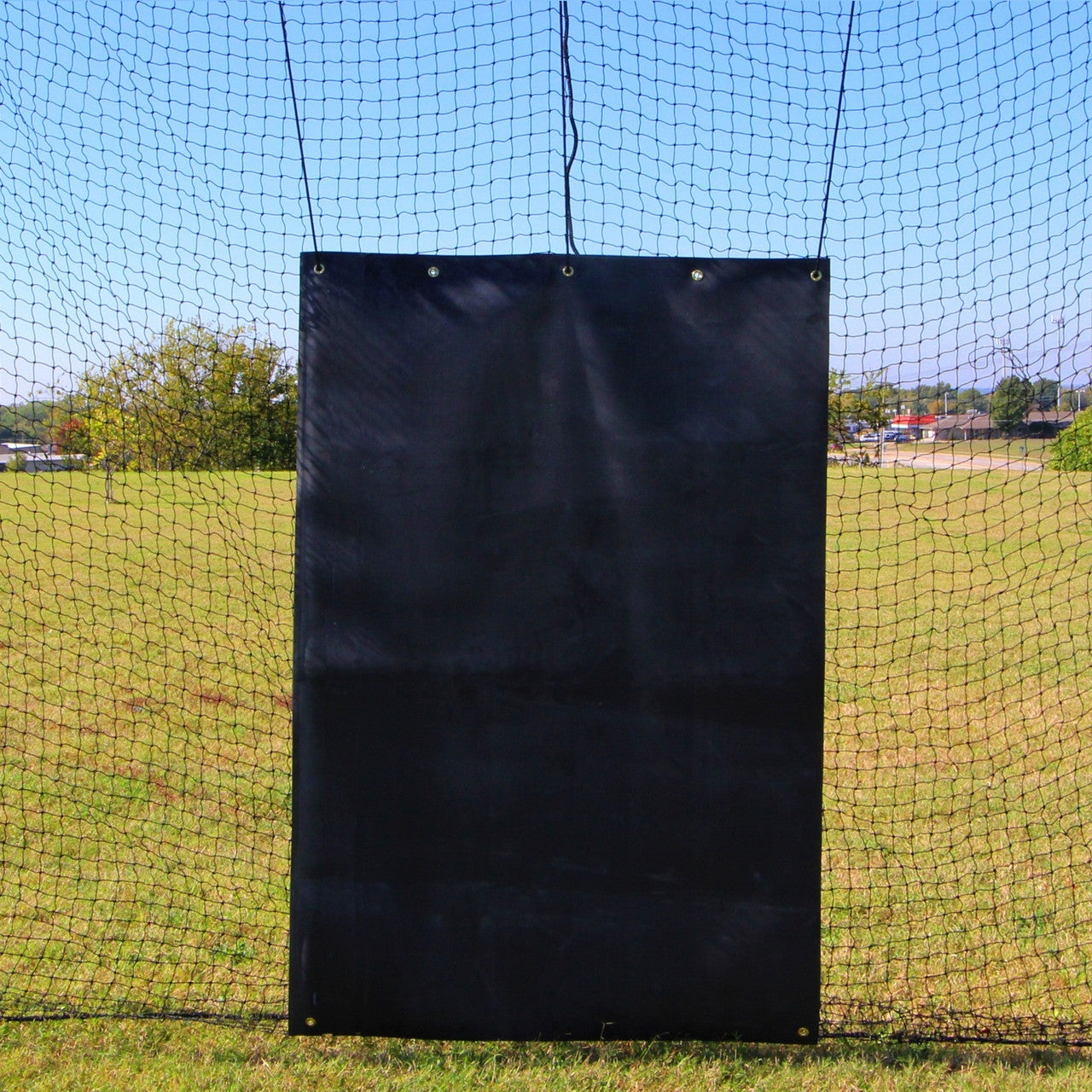 Batting Cage Backstop 4x6 Rubber