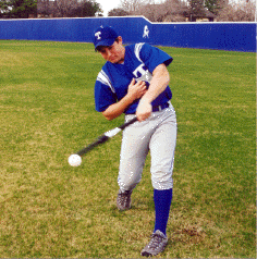The Muhl Stub Training Bat
